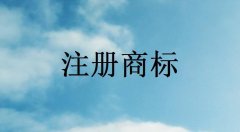 商标注册常用小知识