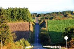 国产精品视频公开课福利_芒果精品视频APP