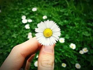 亿佰倍懂商标整理最新商标注册申请问题？