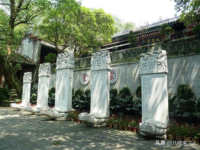 新兴的查询(新兴的商标注册证查询)