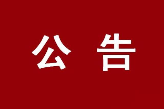 公告信息查询(公告信息查询系统)
