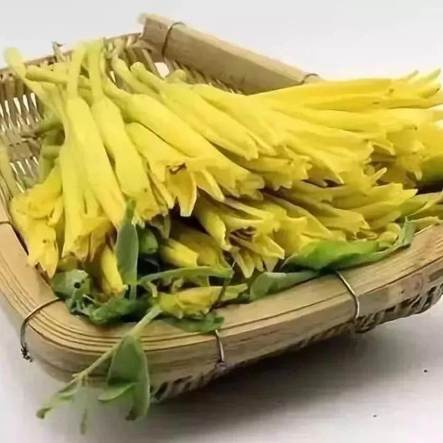 工商公示查询(工商公示系统查询入口)