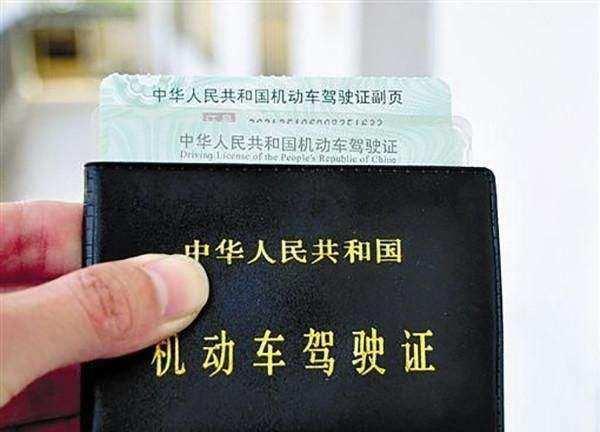 驾驶证的真伪查询(驾照真假怎么查询)