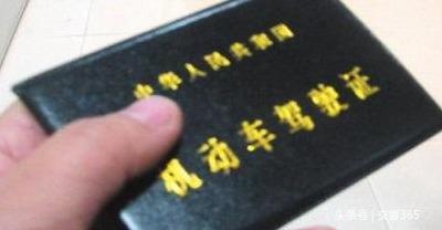 个人驾驶证查询(个人驾驶证信息查询)