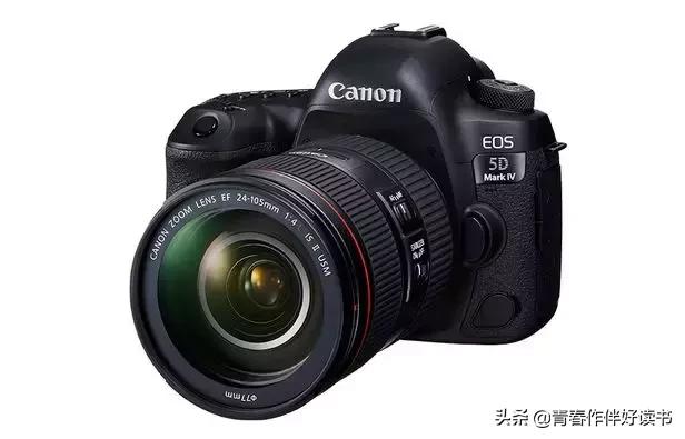 佳能真伪查询(佳能镜头真伪查询)