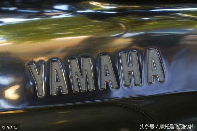 雅马哈查询(雅马哈防伪查询系统)