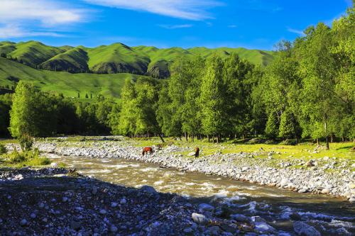 为什么外国没有国六，我们中国国6点16。