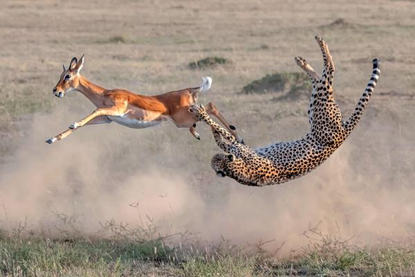 股票买入卖出操作技巧