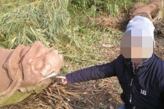 茅台酱香老酒53度价格表代理-茅台酱香老酒53度价格表精品