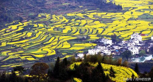 中国有多少个省(中国各个省及其简称) 中国有多少个省(中国各个省及其简称)