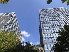 知识课堂“商标驳回复审”全面解析收费标准与费用指南