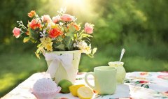 知识课堂“茶叶类商标转让流程”