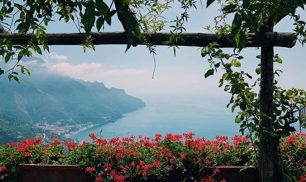 商标交易最大平台