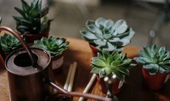 知识课堂“营业执照年检公示”