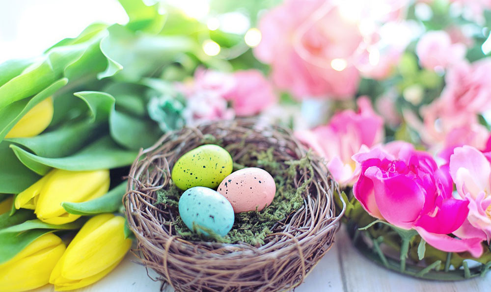 工商营业执照名称变更流程