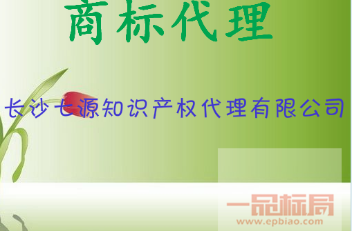 长沙七源知识产权代理有限公司