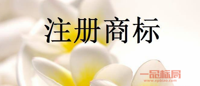 合肥国力知识产权服务有限公司