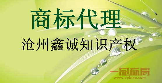  沧州鑫诚知识产权服务有限公司