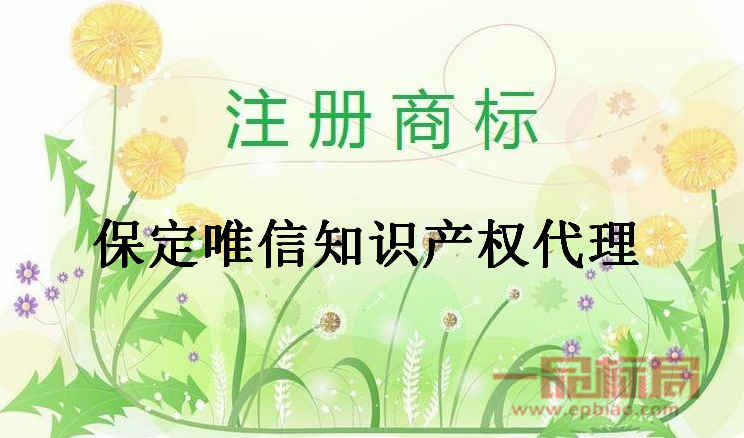 保定唯信知识产权代理有限公司