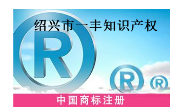 绍兴市一丰知识产权服务有限公司