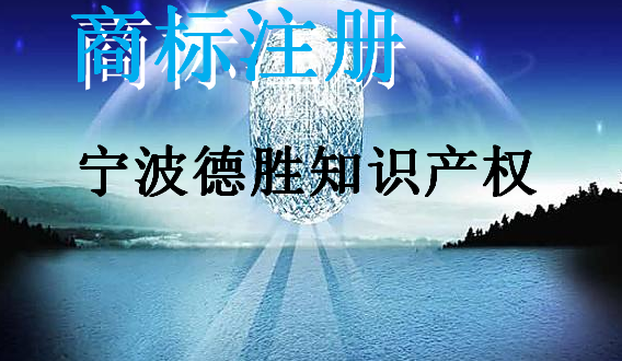 宁波德胜知识产权代理有限公司