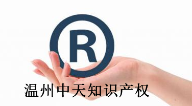 温州中天知识产权