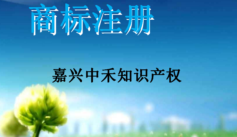 嘉兴中禾知识产权服务有限公司