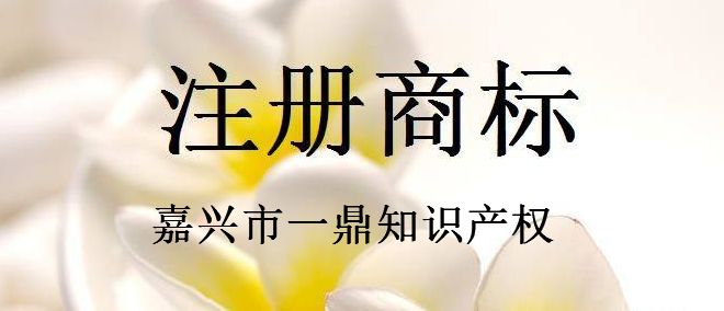 嘉兴市一鼎知识产权代理有限公司