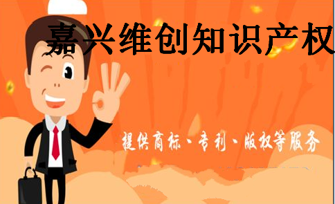 嘉兴维创知识产权代理有限公司