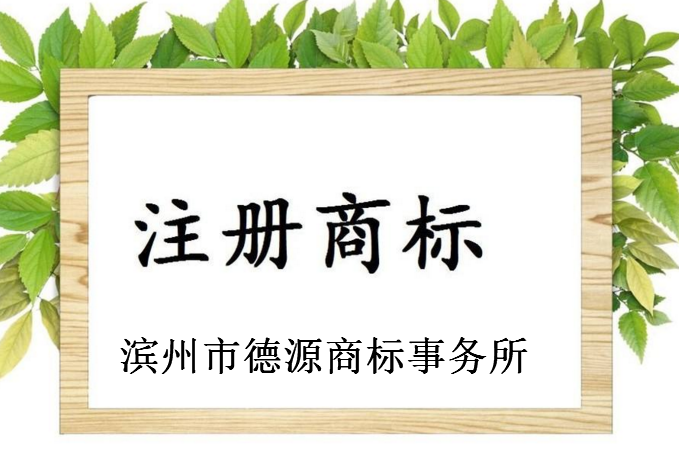 滨州市德源商标事务所有限公司