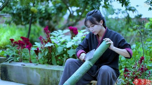 还没红就开始注册商标?李子柒背后的运营公司也太有眼光了吧 还没红就开始注册商标?李子柒背后的运营公司也太有眼光了吧