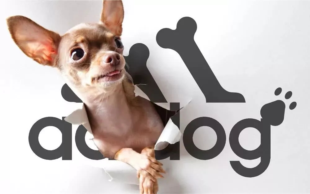 阿迪达斯出宠物品牌了?哦,原来是商标侵权 阿迪达斯出宠物品牌了?哦,原来是商标侵权