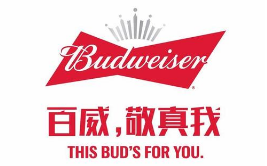 假冒 “百威”商标罐装啤酒,广西玉林兴业县法院审理首起侵犯知识产权罪案件 假冒 “百威”商标罐装啤酒,广西玉林兴业县法院审理首起侵犯知识产权罪案件