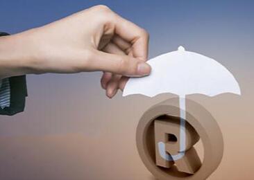 上海加大进博会知识产权保护力度 查处侵犯知识产权案件328件 上海加大进博会知识产权保护力度 查处侵犯知识产权案件328件