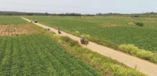 地瓜做出商标,第一年赚20万!诀窍有这几点