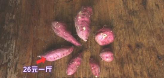 地瓜做出商标,第一年赚20万!诀窍有这几点