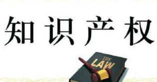 助推旅游业高质量发展 海南旅游人呼吁商标保护和运用 助推旅游业高质量发展 海南旅游人呼吁商标保护和运用