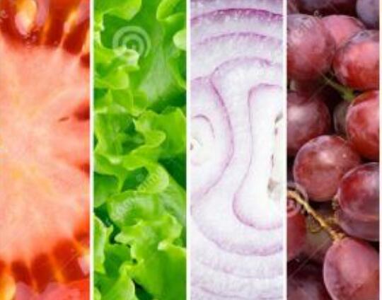 食品商标注册在第几类?如何查? 食品商标注册在第几类?如何查?