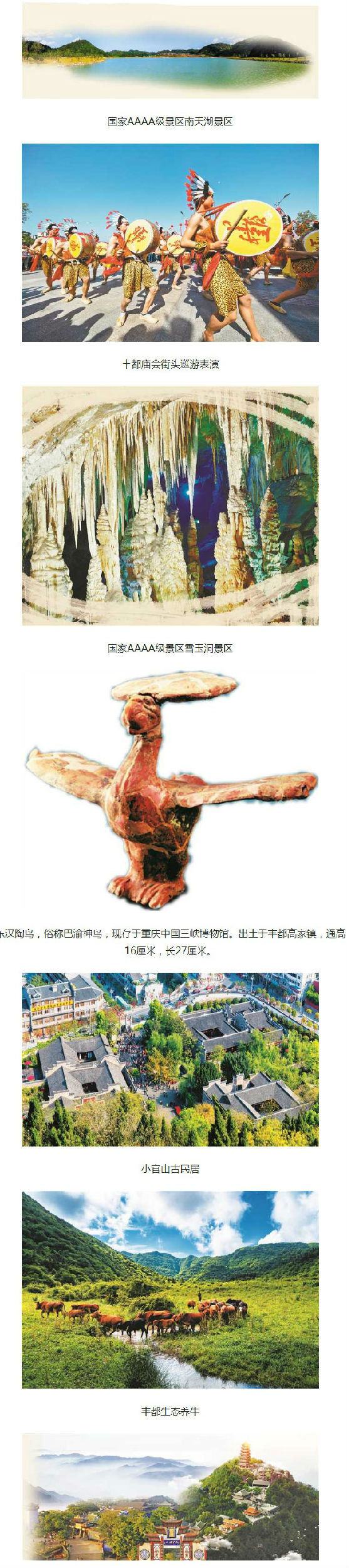 丰都肉牛 获多块国家级金字招牌