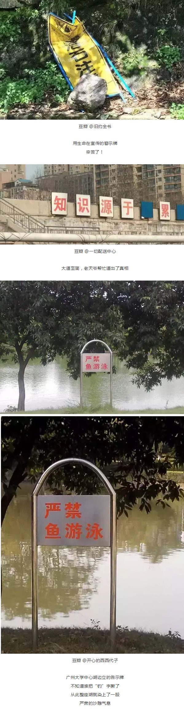 中国魔幻招牌大赛,沙县、中通齐齐中招! 中国魔幻招牌大赛,沙县、中通齐齐中招!