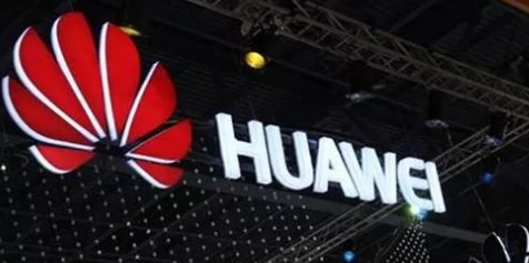 手握2500件专利，诉华为、告苹果！这家16人的公