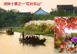 杭州公布10起违法广告案 绿地一楼盘擅用G20标志被罚31万 杭州公布10起违法广告案 绿地一楼盘擅用G20标志被罚31万