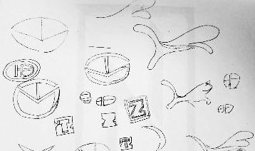 安徽男子状告众泰汽车 称其商标设计侵权索赔1000万(组图)