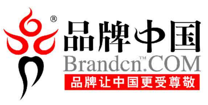 中国品牌如何摆脱“成长的烦恼”