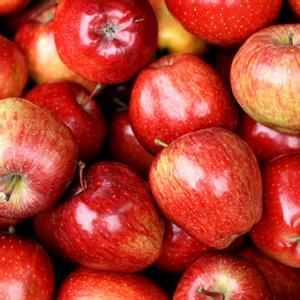 双鸭山“宝清苹果”畅销全国 荣获国家地理标志