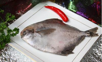 “舟山鲳鱼”地理标志证明商标注册成功