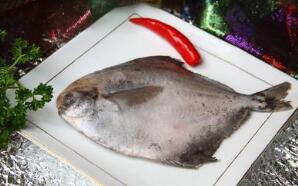 “舟山鲳鱼”地理标志证明商标注册成功