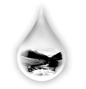 走进“有机”时代