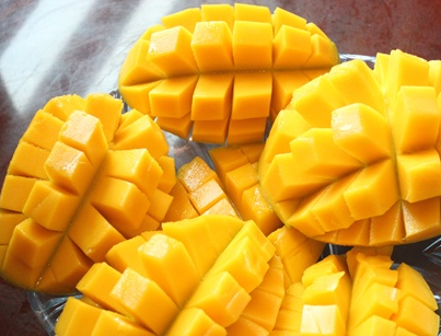 “百色芒果”地理标志证明商标获核准注册