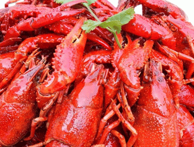 “盱眙龙虾”来南京集中打假 状告5家店铺商标侵